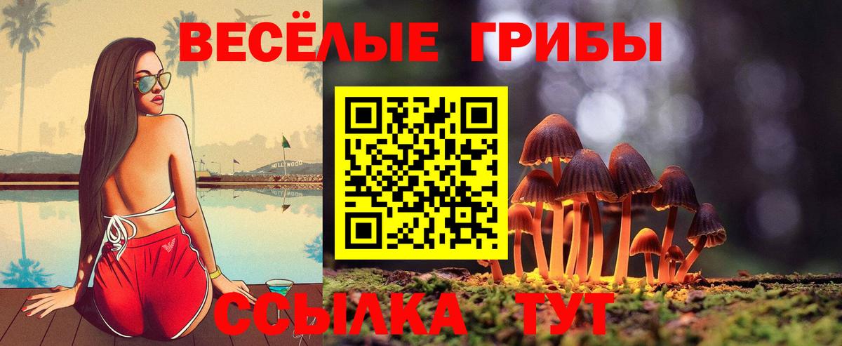 Галлюциногенные грибы MAGIC MUSHROOMS Ногинск