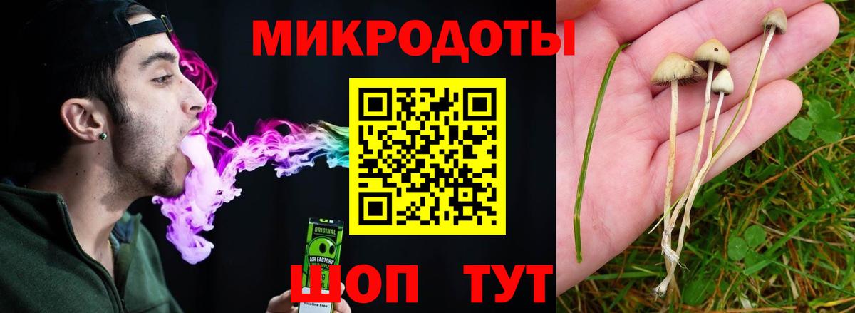 Галлюциногенные грибы GOLDEN TEACHER  Галлюциногенные грибы Psilocybine cubensis  Вход с VPN  Ногинск 